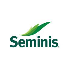 seminis